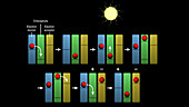 Sunlight to chemical energy conversion