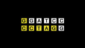 DNA cleavage by restriction enzymes