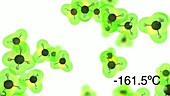 Methane molecules