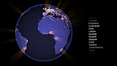 Megacity carbon emissions