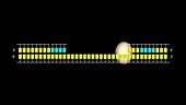 DNA synthesis of lagging strand, animation