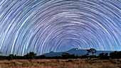 Star trails over Mount Kilimanjaro