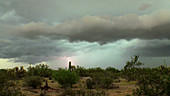 Storm clouds, Arizona, USA