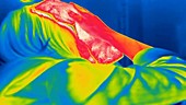Hot towel on face, thermogram footage