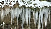 Icicles on a waterfall