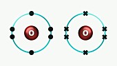 Bond formation in oxygen molecule