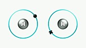 Bond formation in hydrogen molecule