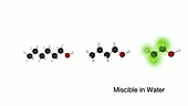 Variation in alcohol solubility