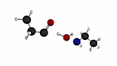Formation of amide molecule
