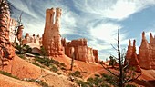 Hoodoos in Bryce Canyon