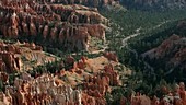 Hoodoos in Bryce Canyon