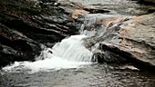 Mountain stream in Appalachians