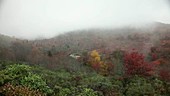 Mountain fog in Appalachians