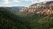 Oak Creek Canyon gorge