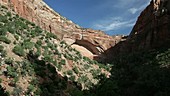 Sandstone formations, Zion National Park