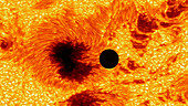 Sunspot activity with Earth overlay