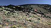Basalt outcroppings in Utah