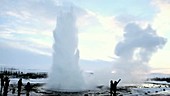Geyser in Iceland