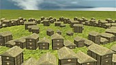 Neolithic settlement, animation