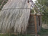Reconstruction of neolithic house