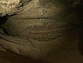 Petroglyphs on cave wall
