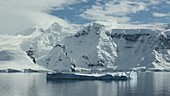 Icebergs and Antarctic coast