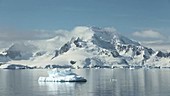 Icebergs and Antarctic coast
