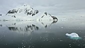 Antarctic coast