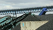 Coal on the docks
