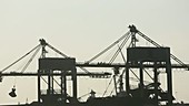 Cranes unloading coal