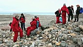Tourists near melting glacier