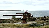 WW2 artillery gun, Falklands