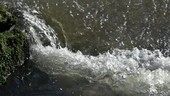 Water gushing in stream