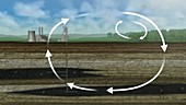 Slow land carbon cycle