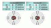 Chlorine isotopes