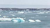 Svalbard icebergs