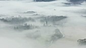 Cars in mist
