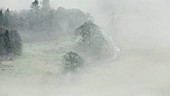 Cars in mist