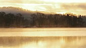 Misty lake at dawn