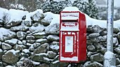 Postbox in snow