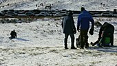 Family sledging