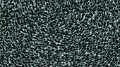 Dark matter waves, abstract animation