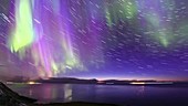 Aurora and star trails, Iceland