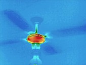 Thermographic timelapse of fan