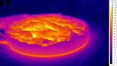 Thermographic of hot pie