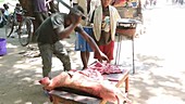 Man butchering a pig, Malawi