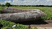 Drainage pipe damaged by flooding, Malawi