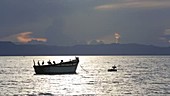 Cormorants on a boat at dusk, Malawi