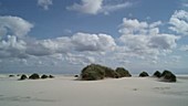 Amrum sandbank, Germany