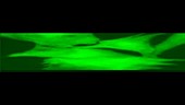 Heart cells, fluorescence microscopy